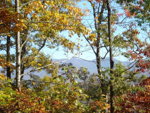 00 Mystic Mountain Road - Photo 1