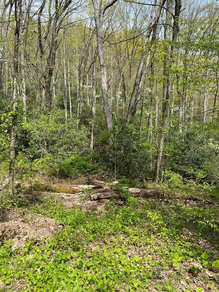 00 Rosebud Lane - Photo 1