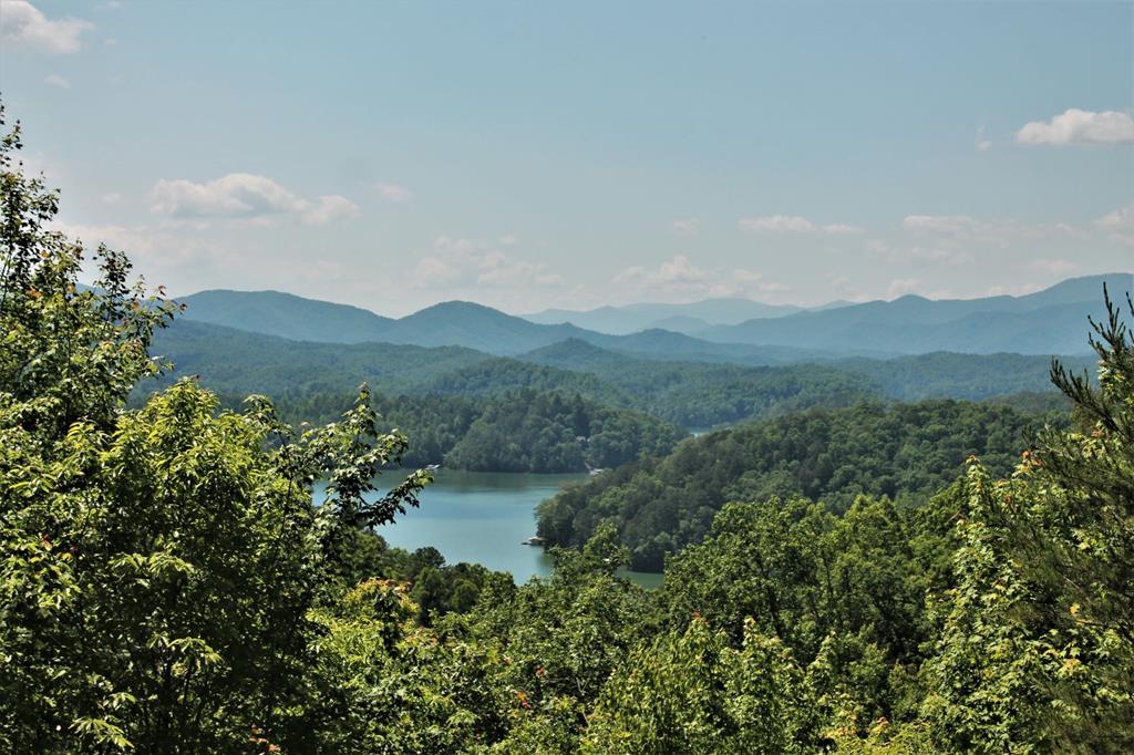 0 Appalachian Way - Photo 1