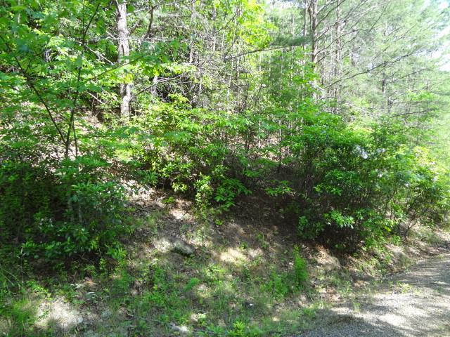 00 Dead End Trail - Photo 1