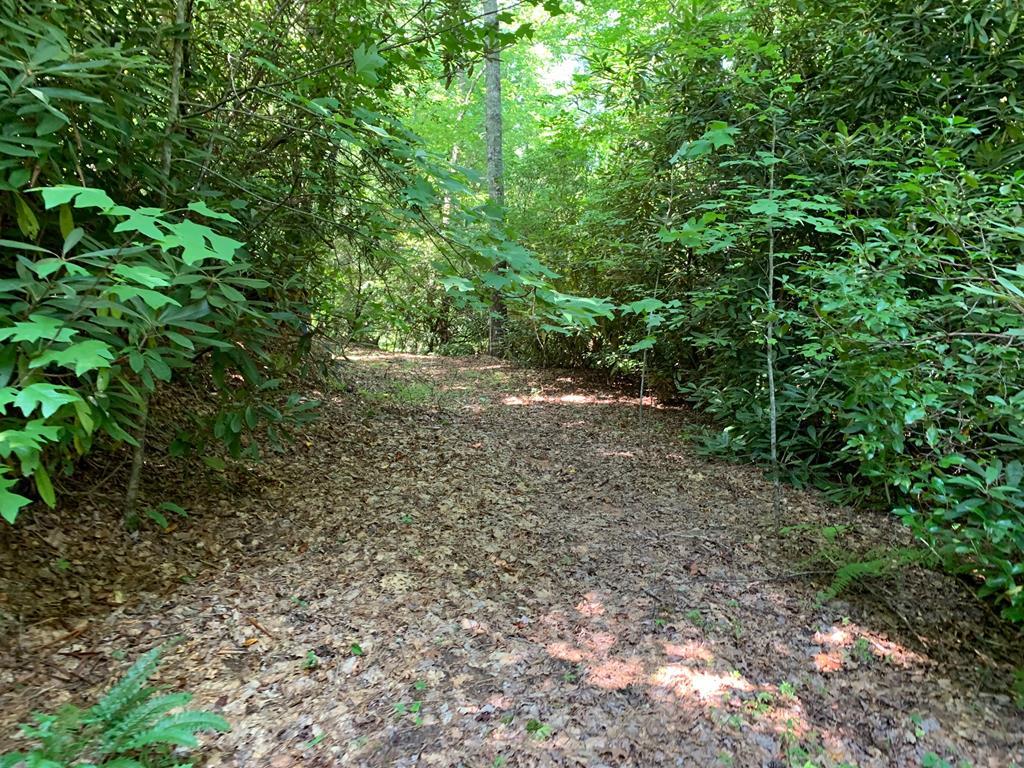 554 Chalk Hill - Photo 1