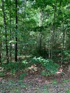 Lot 17 Eagles Nest Rd - Photo 1