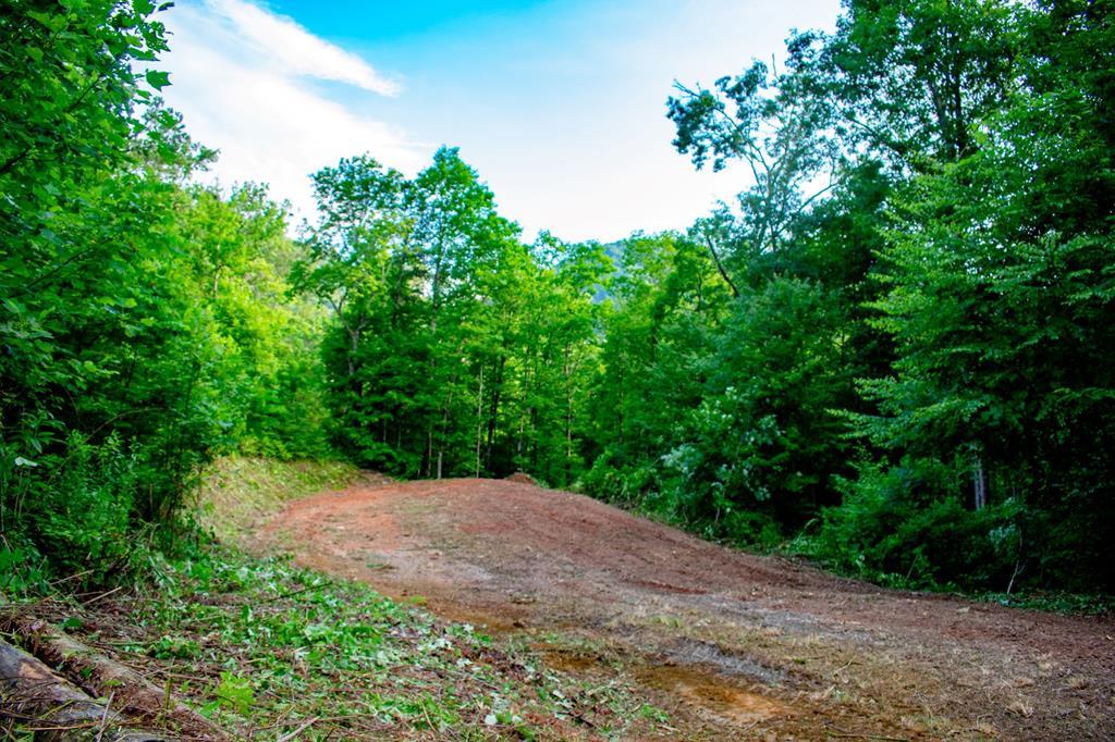 Lot 11 Round Hill Rd - Photo 1