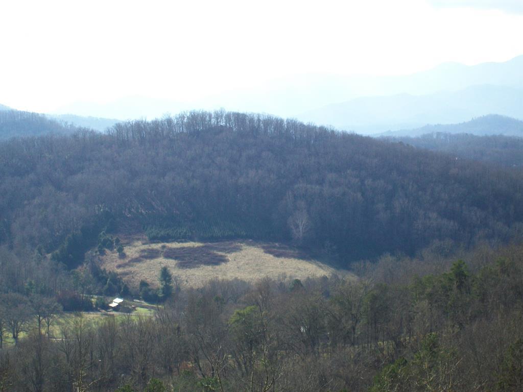 3251 Cat Creek Rd - Photo 1