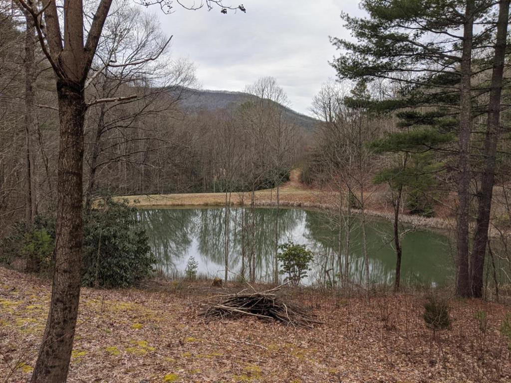 Lot 1 Bear Lake Circle - Photo 1