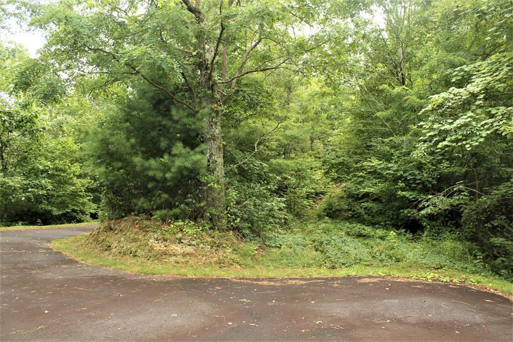 0 Crowfoot Trail - Photo 1