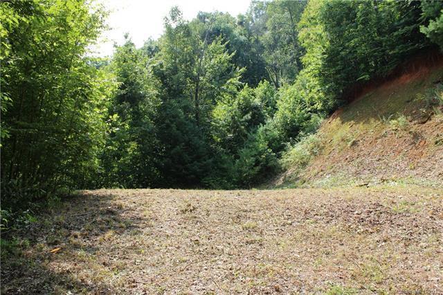 Lot 10 Freeman Overlook - Photo 1