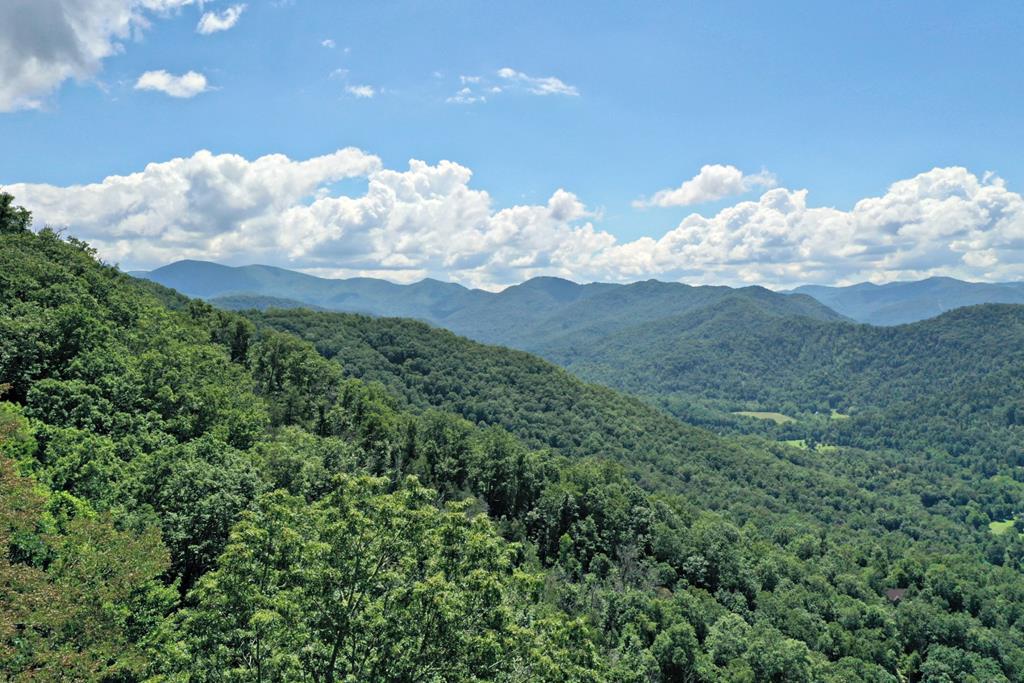 4 Lots Black Mountain Road - Photo 1
