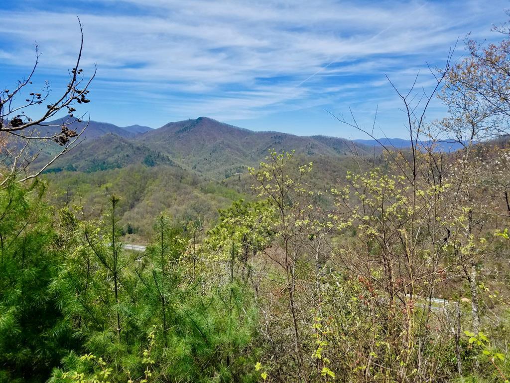 Lot A Honeysuckle Ridge - Photo 1