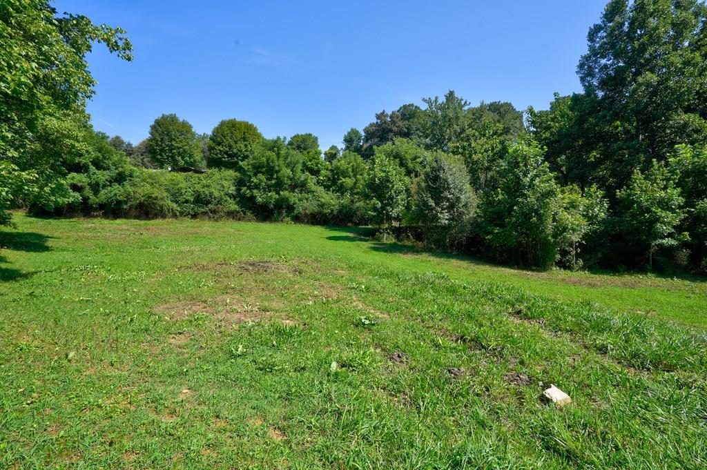 00 Shoal Creek Rd - Photo 1