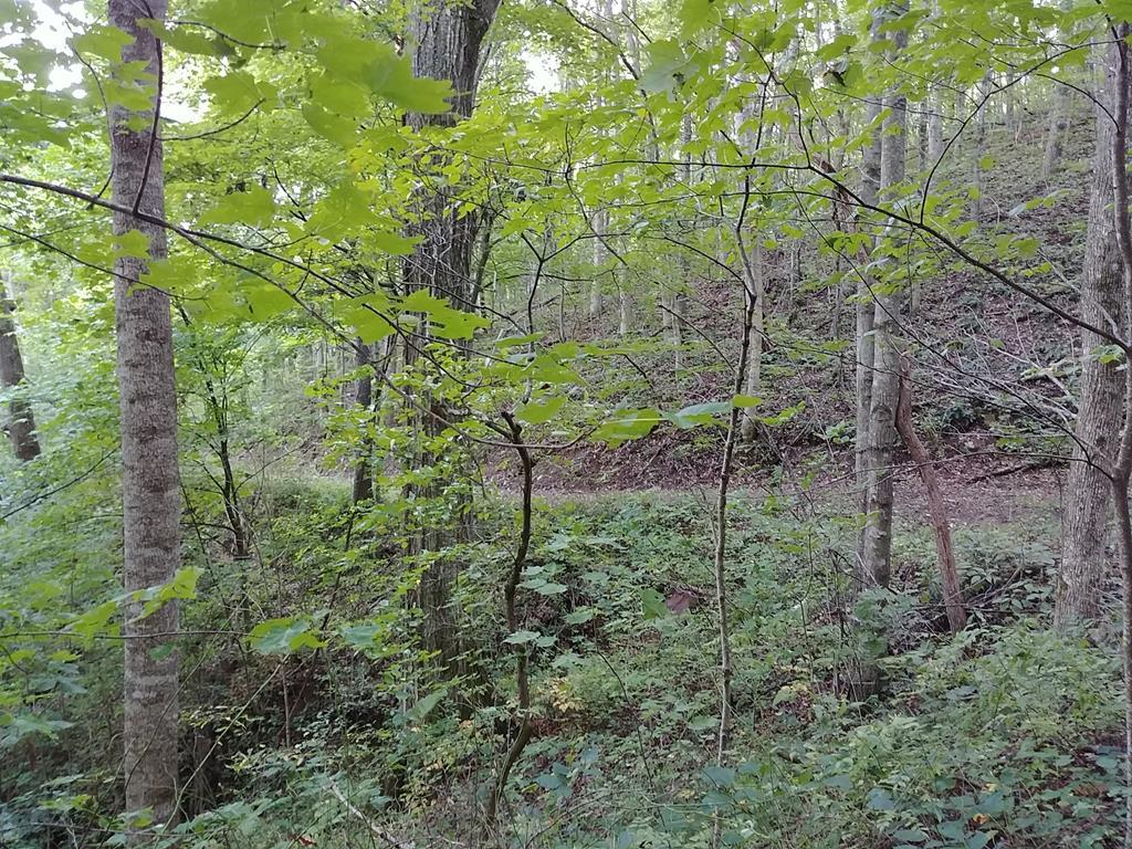 0 Lookout Pt - Photo 1