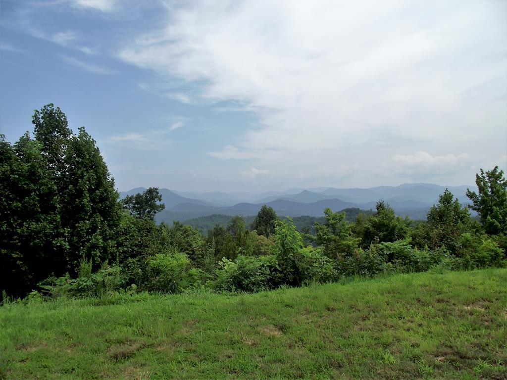 135 Bear Paw Crt - Photo 1