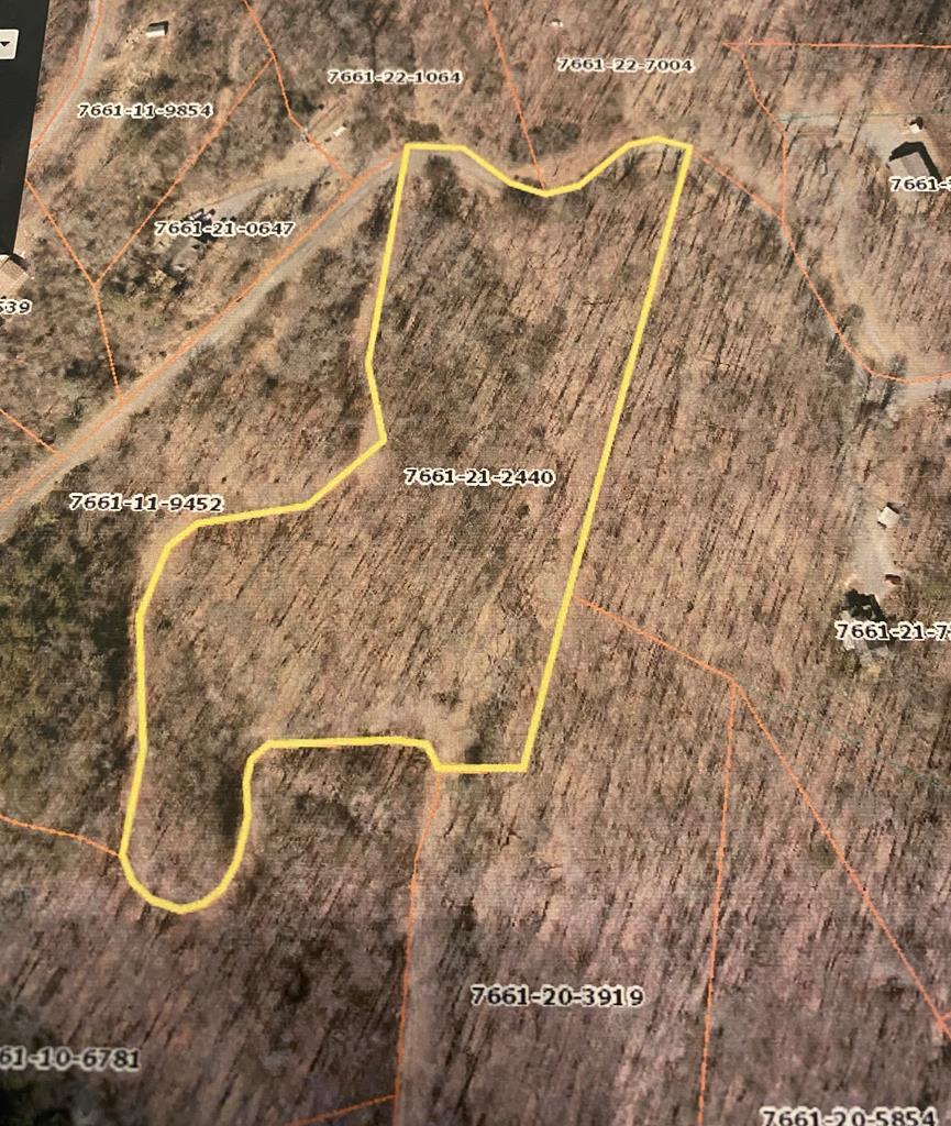 Lot 29 Cane Creek Ridge - Photo 1