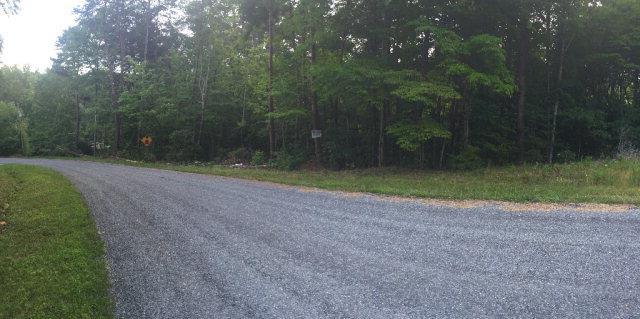 Lot 6 Welch Rd - Photo 1