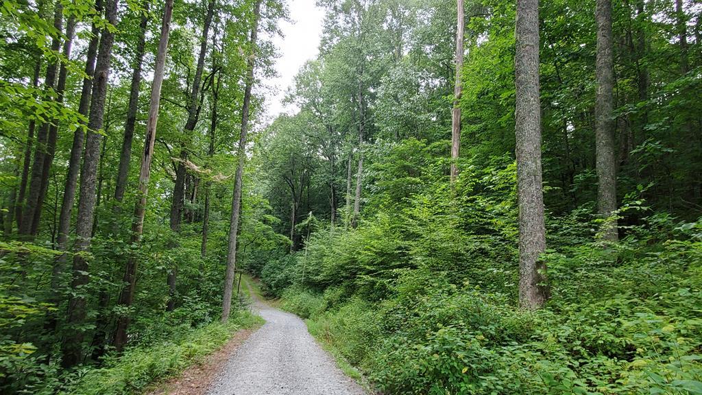 0 Raven Ridge Rd - Photo 1