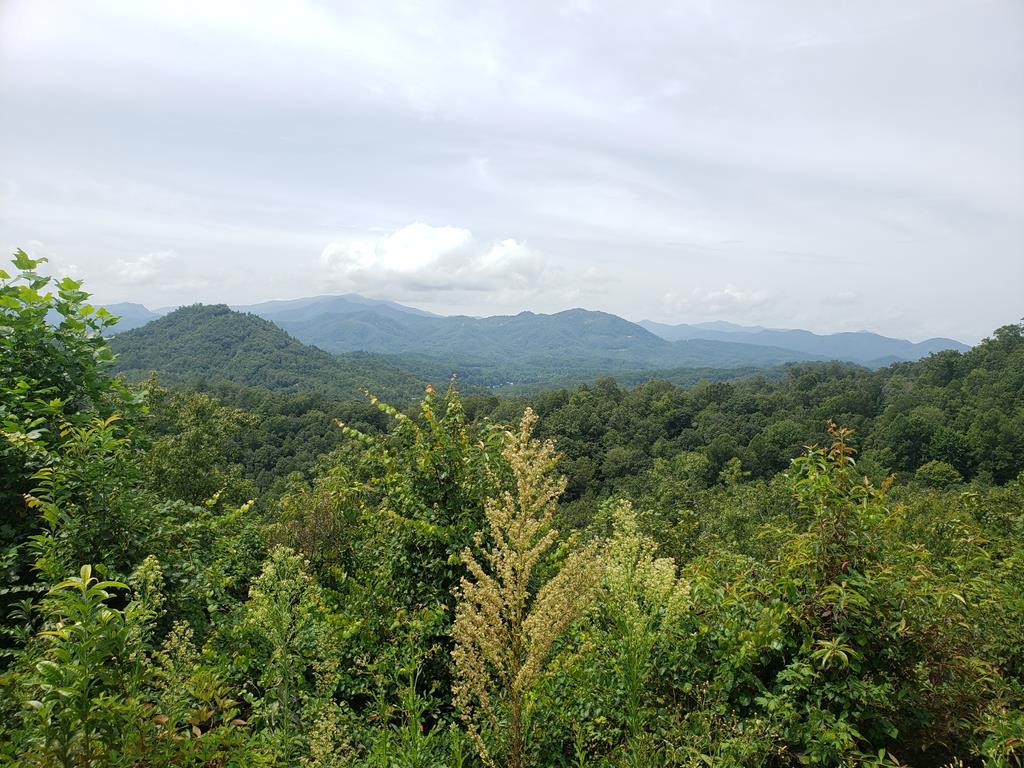 00 Mountainside Drive - Photo 1