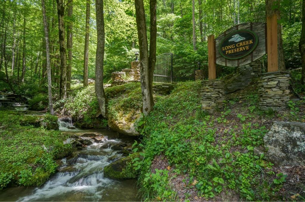 Lot 40 Long Creek Preserve - Photo 1
