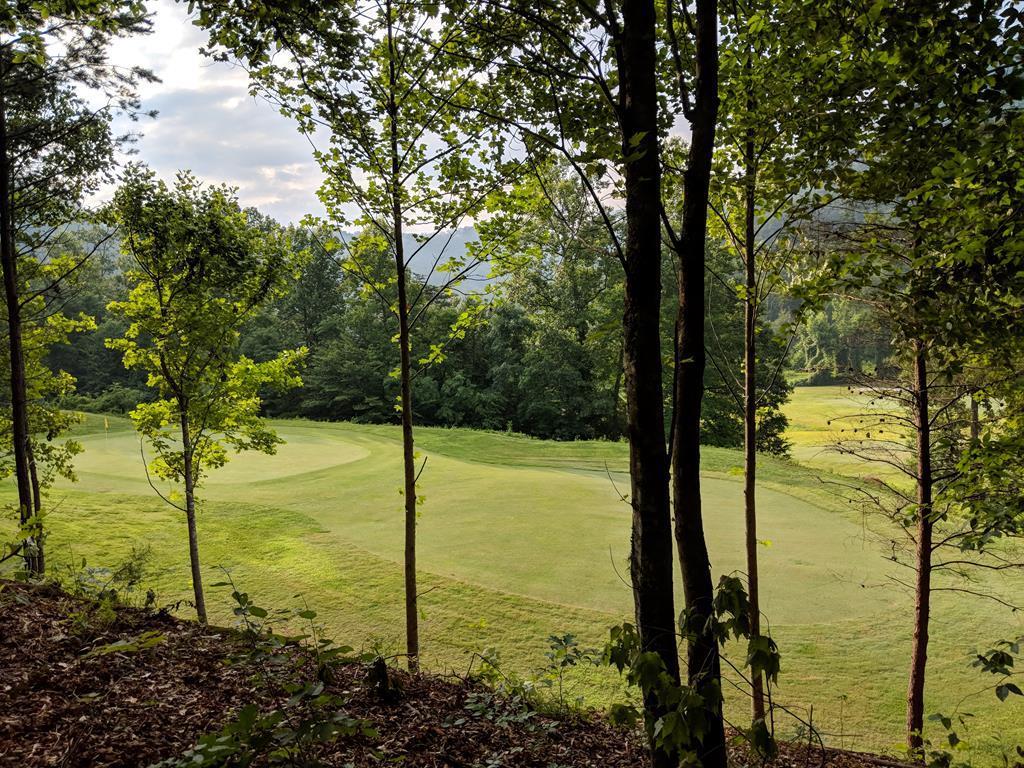 Lot 76 Edgewood Way - Photo 1