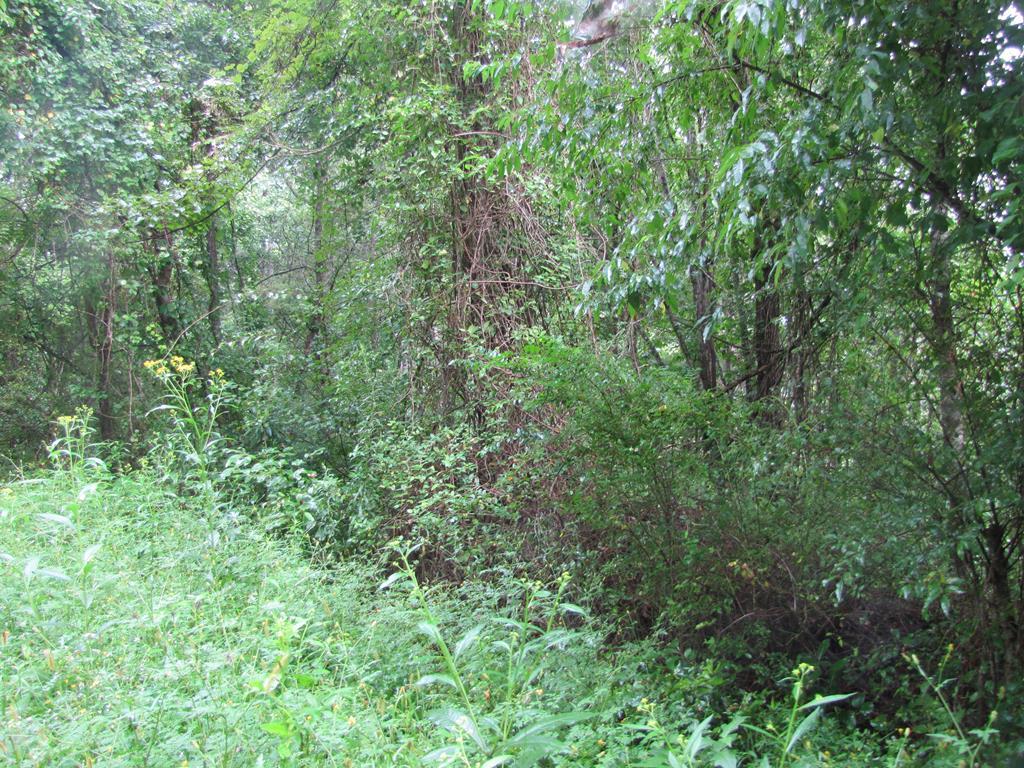 Lot 80 S. Country Club Dr. - Photo 1