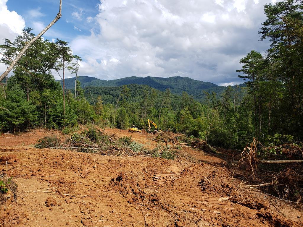 00 Camp Creek Road - Photo 1