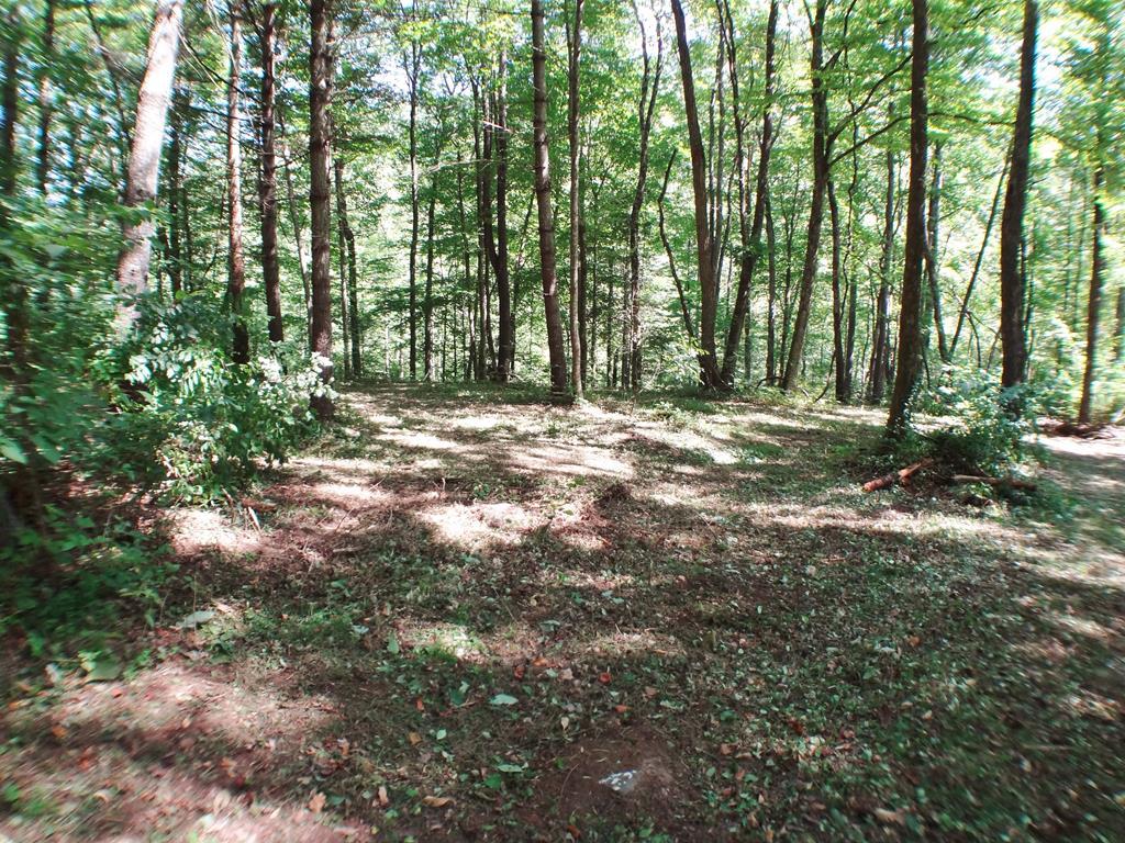 Lot #13 Highlands Gorge Pt - Photo 1