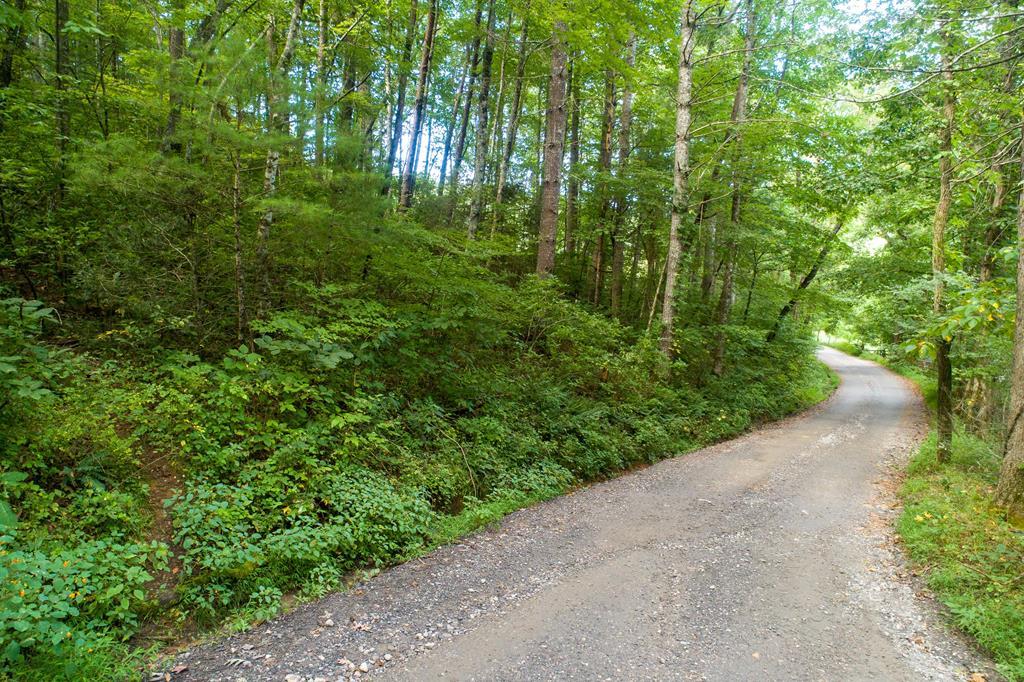 Lot 1 Cedar Creek Farm Rd, - Photo 1
