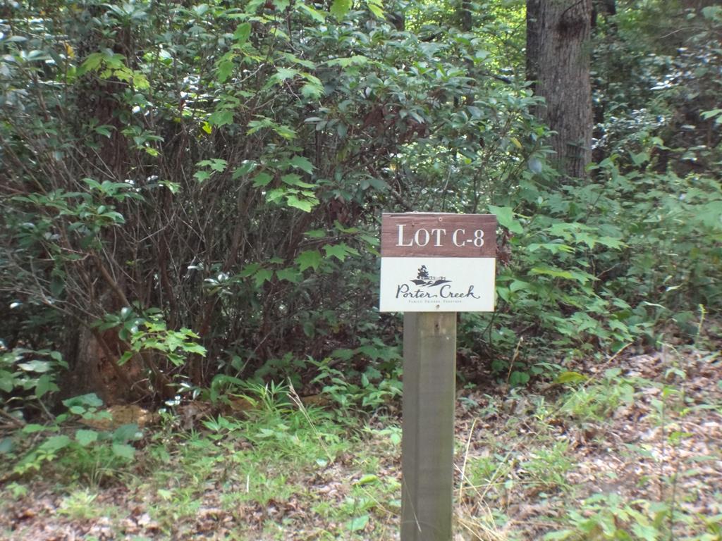 C-8 Lodge View Road - Photo 1