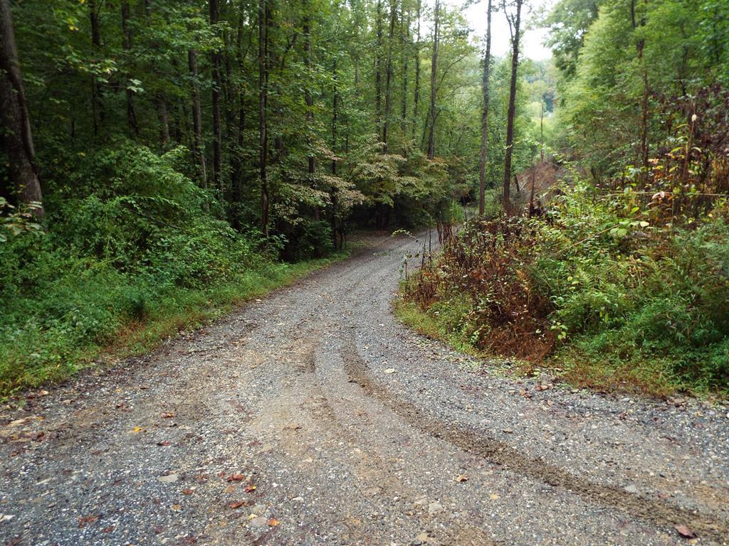 000 Wren Lane - Photo 1