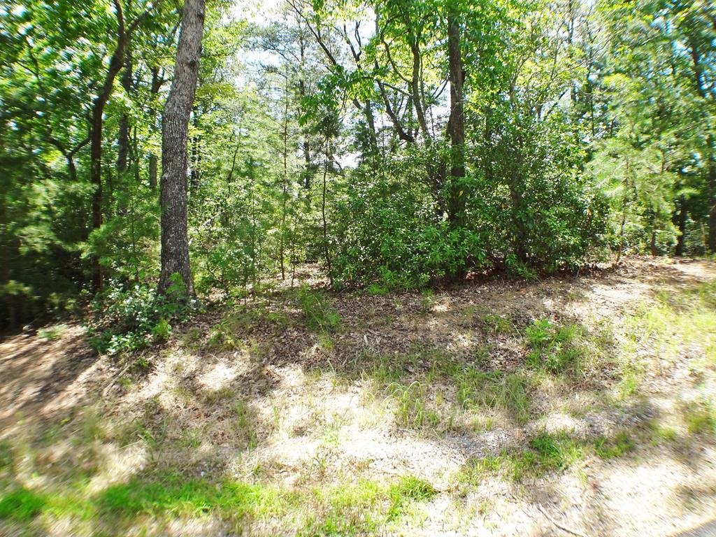 Lot #40 Porter Creek Rd Phs 2 - Photo 1