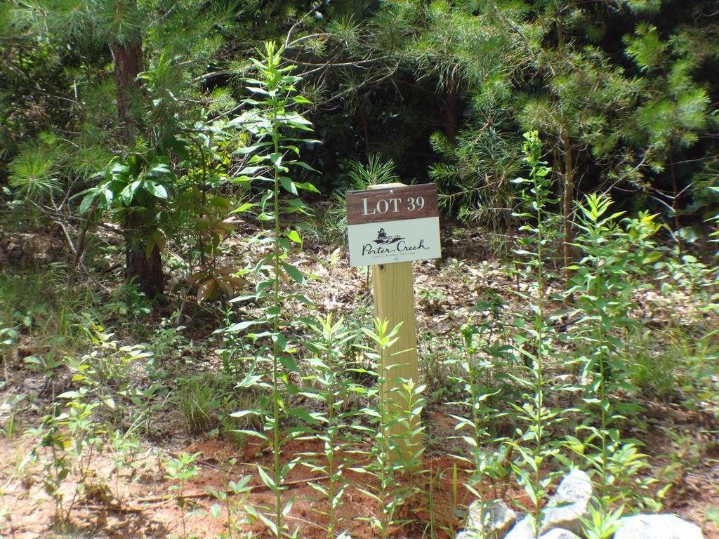 Lot #39 Porter Creek Rd Phs 2 - Photo 1