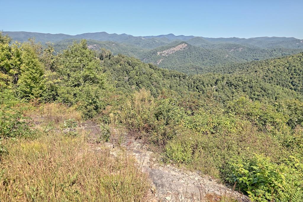 Lot 637 Steeplebush Ct. - Photo 1