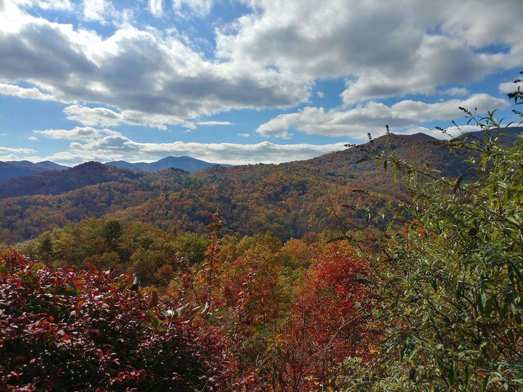 455 Smith Rd - Photo 1