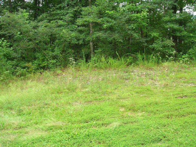 lot 63 Eagles Roost - Photo 1