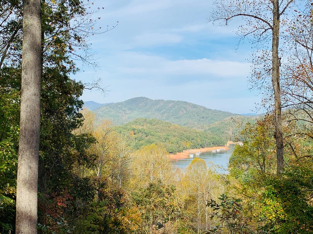 Lot 65-3 Red Oak Ridge - Photo 1