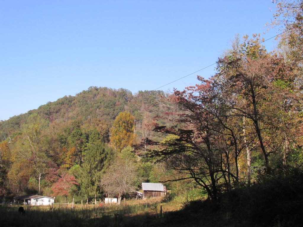 0 Hensley Cemetery Rd. - Photo 1