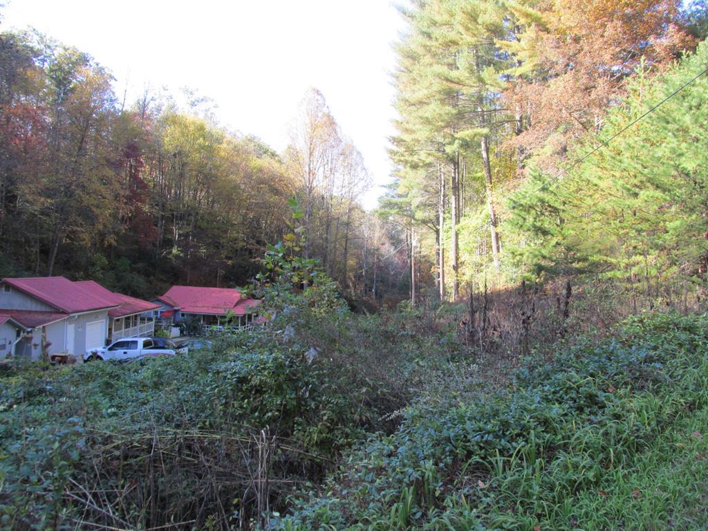 0 Cougar Lane - Photo 1