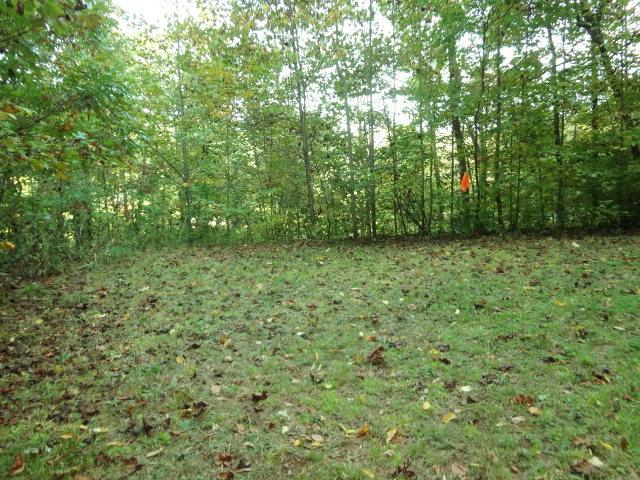 00 Bear Back Ridge - Photo 1
