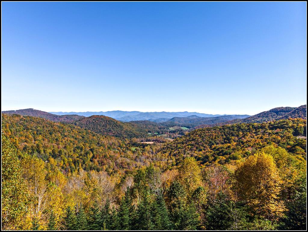 322 Gobbler Knob Rd. - Photo 1