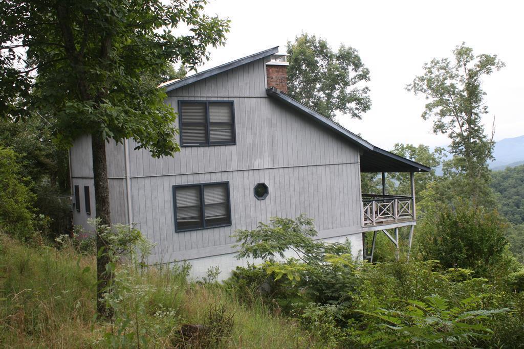 770 Pelohi Cove Rd - Photo 1