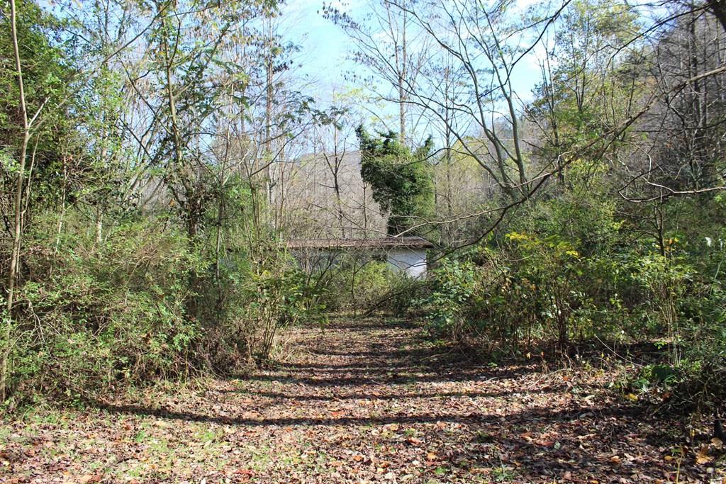 402 Anderson Creek Road - Photo 1