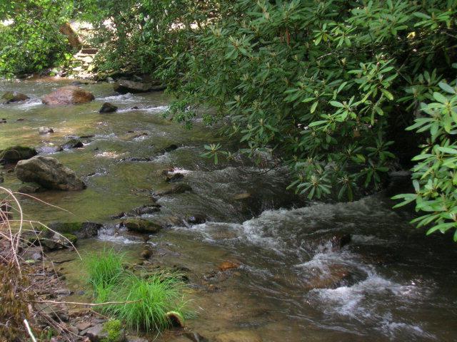 5 Timber Estates - Photo 1