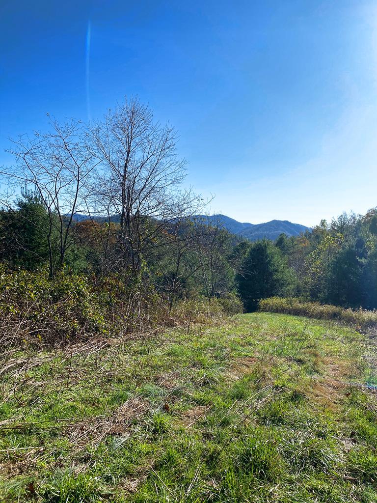 00 Nc 212 Hwy - Photo 1