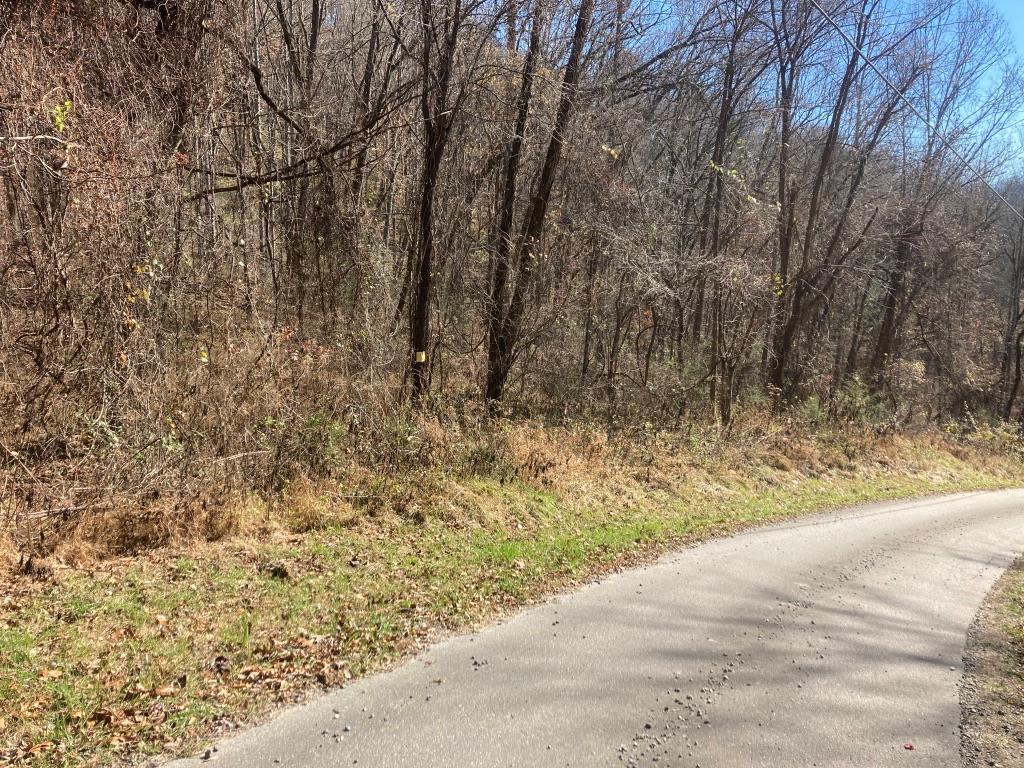 Lt 16 Black Mountain Rd - Photo 1