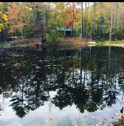 311 Old Sophie Rd - Photo 1