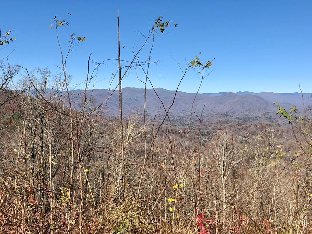 Lot 42 Middle Ridge - Photo 1