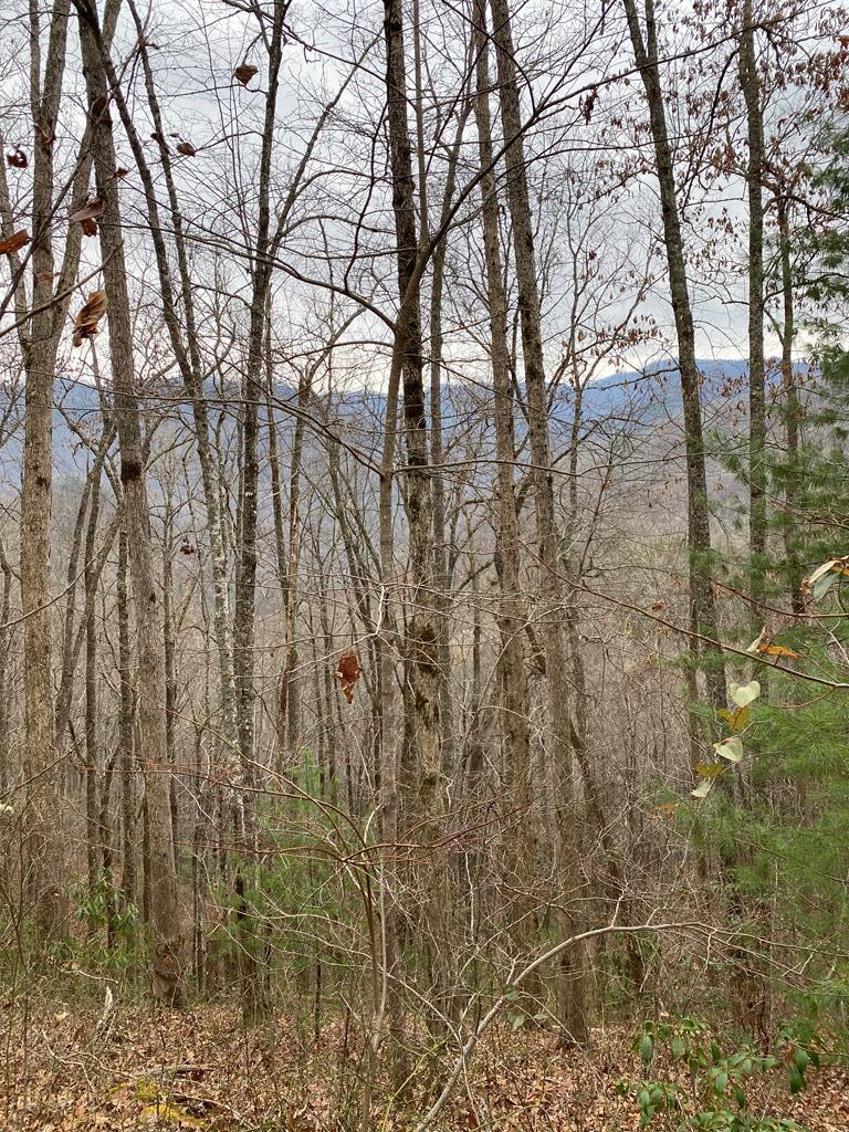 Lot 4 Wesser Creek Rd - Photo 1