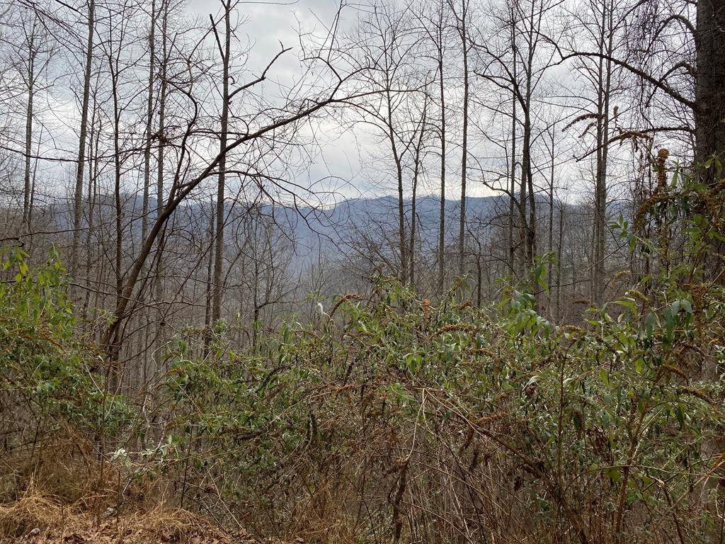 Lot 9 Wesser Creek Rd - Photo 1