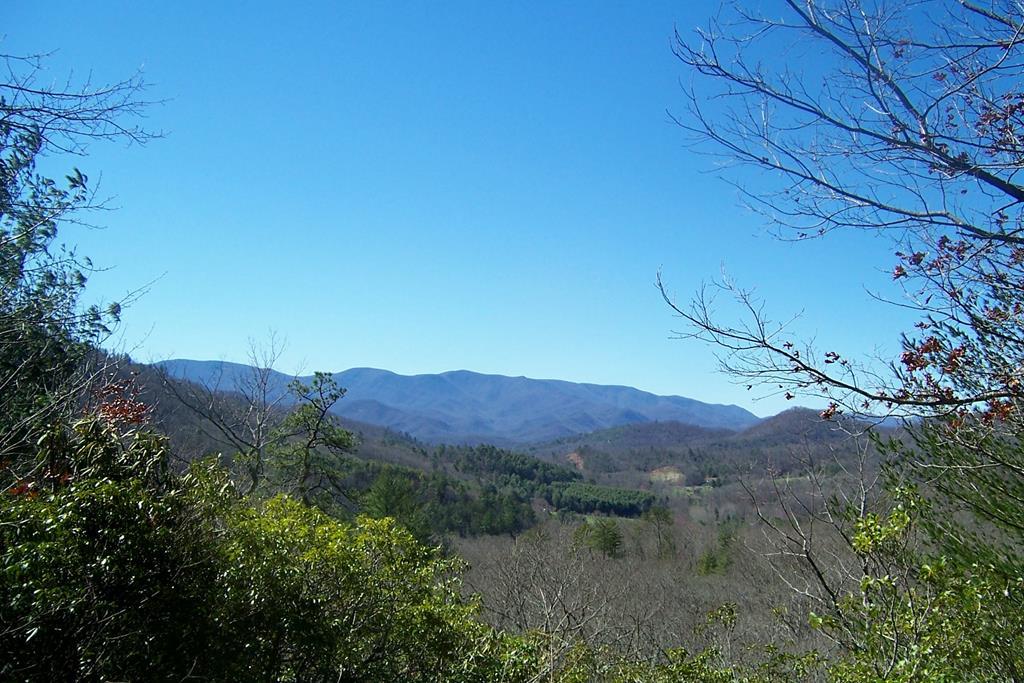 Lot 17 Cliff View - Photo 1