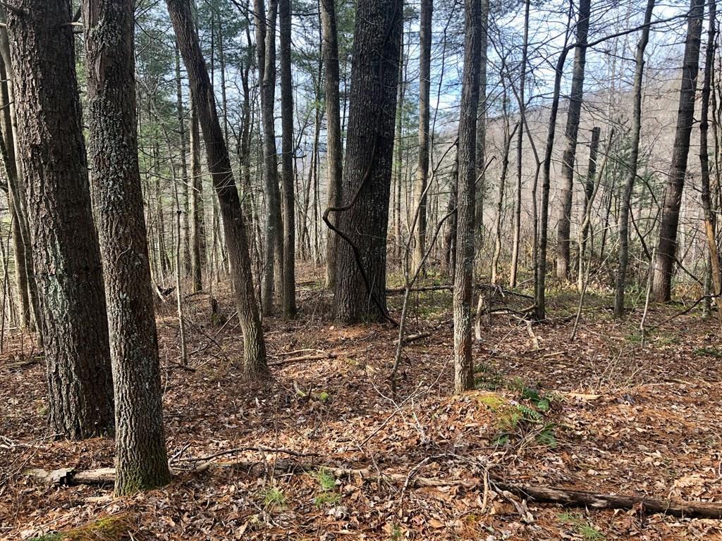 Lot 73 Grizzly Ridge - Photo 1