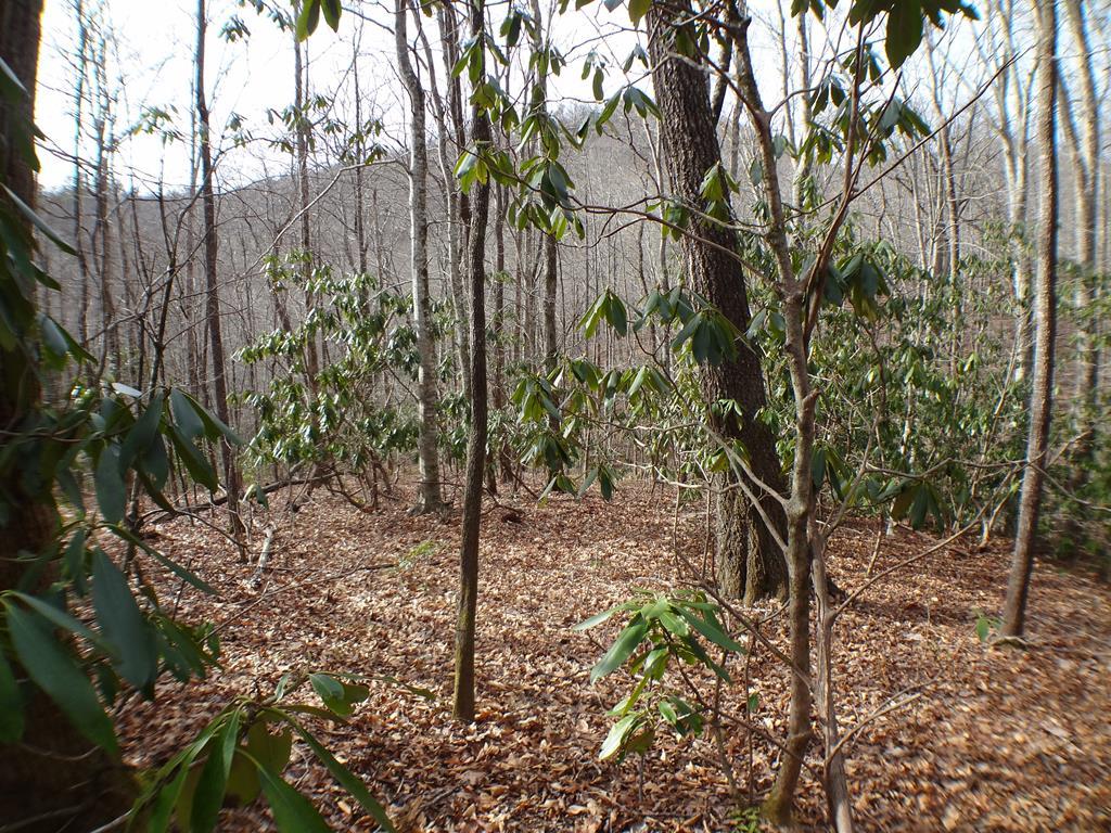 Lot 17 Crystal Creek - Photo 1